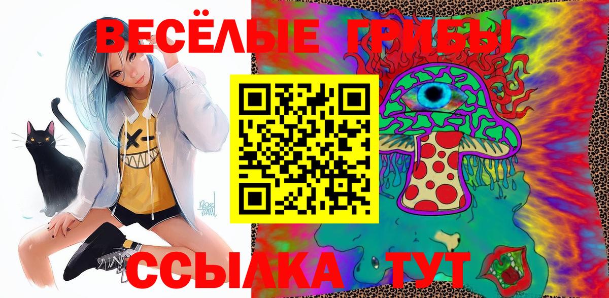 Галлюциногенные грибы Psilocybine cubensis Самара